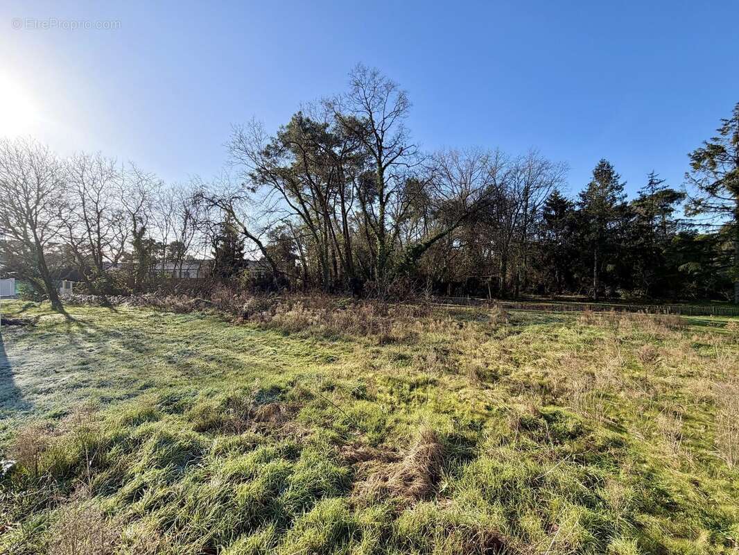 Vue de face - Terrain à SAINT-HILAIRE-DE-RIEZ