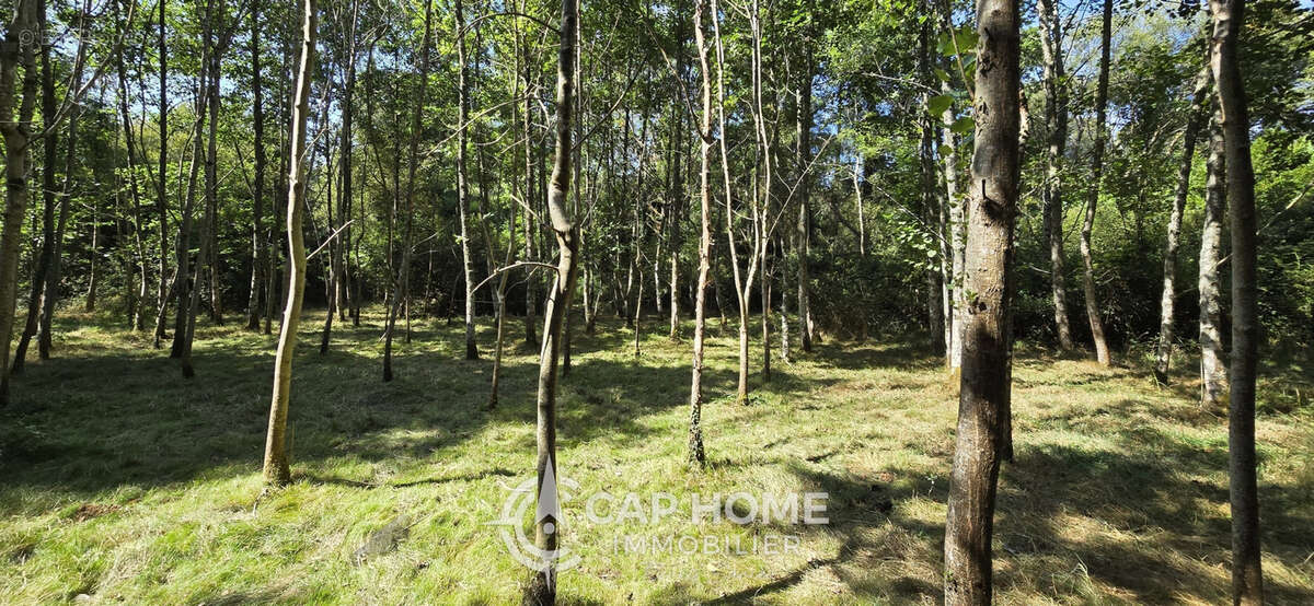 Terrain de loisirs - photo 11