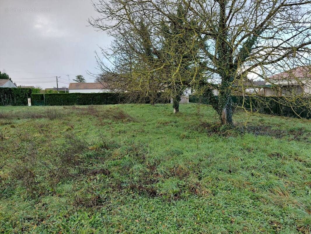 Terrain à SAINT-PORCHAIRE