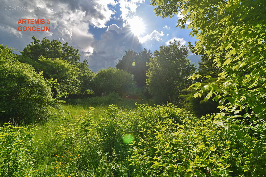 Terrain à GONCELIN