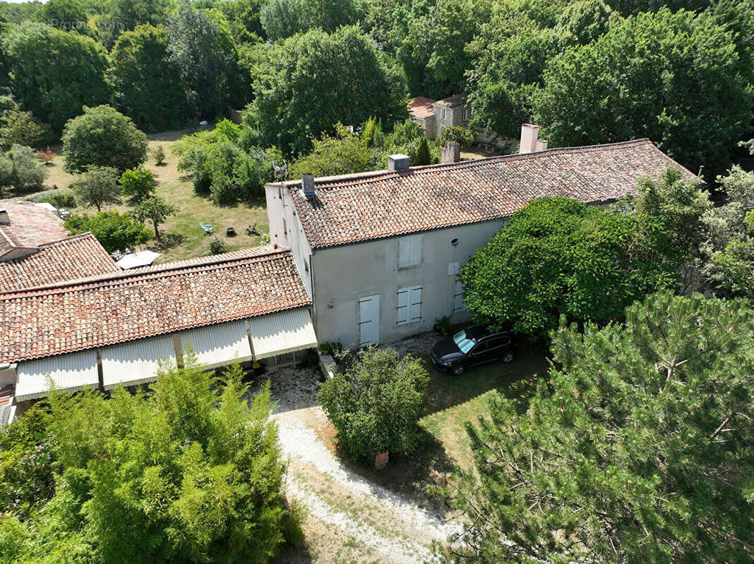 Domaine à la campagne - photo 6