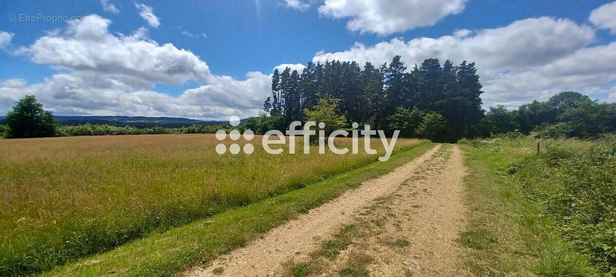Terrain à RUYNES-EN-MARGERIDE