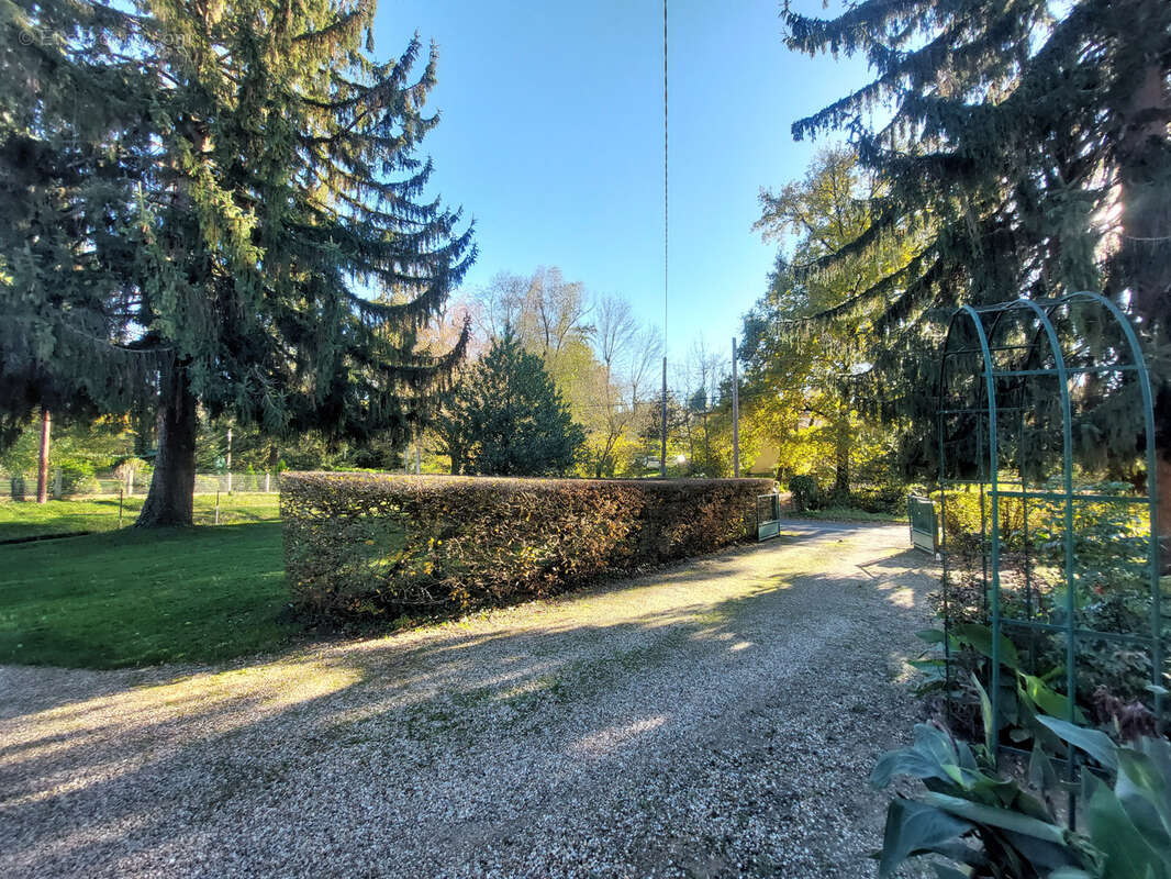 Maison à MESSIMY-SUR-SAONE