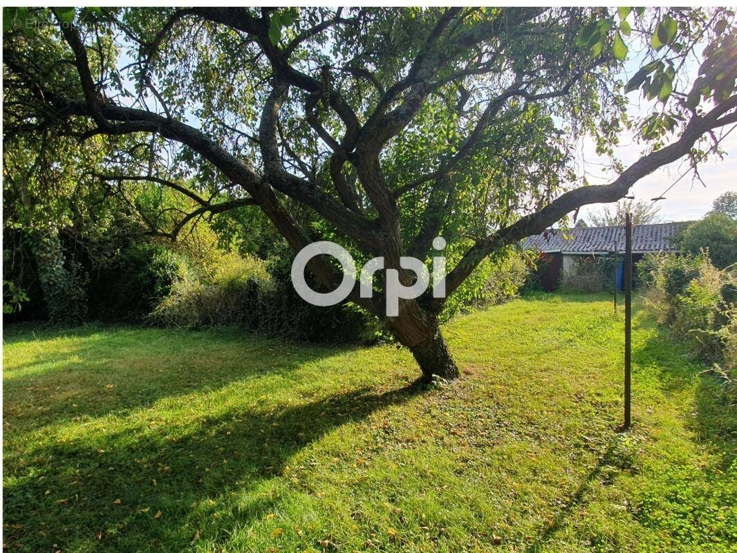 Terrain à MONS-EN-PEVELE