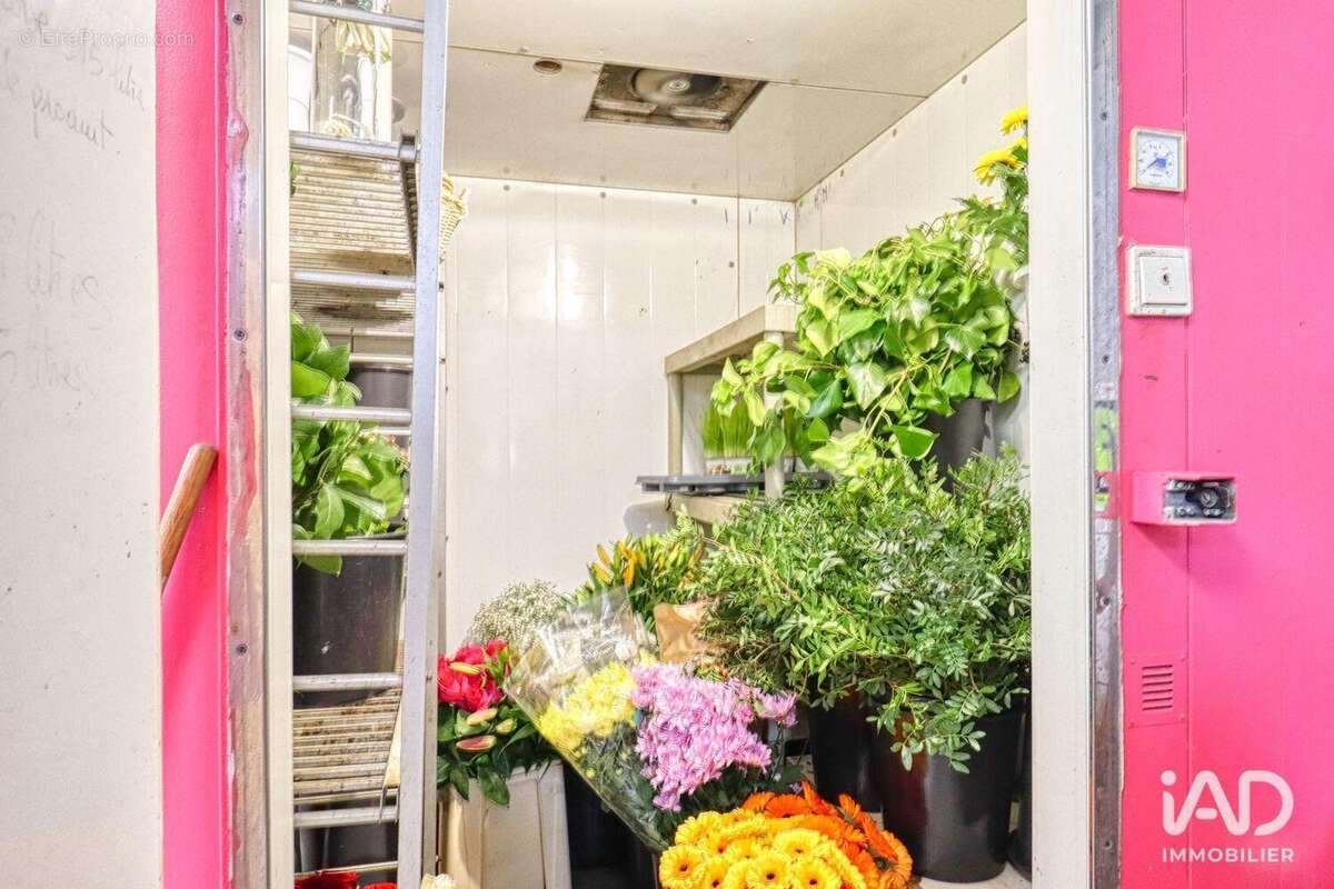 Photo 5 - Commerce à MONTMAGNY