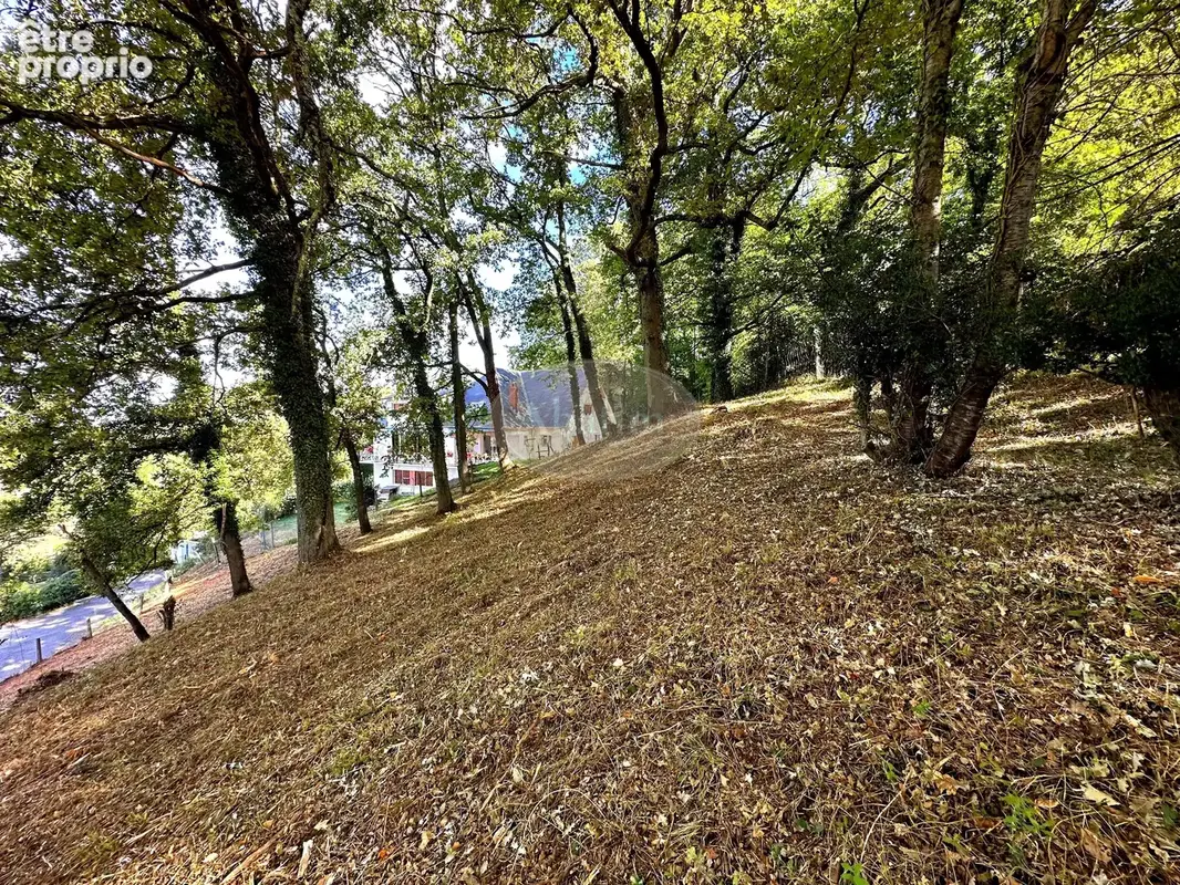Terrain constructible proche de Tarbes - photo 3