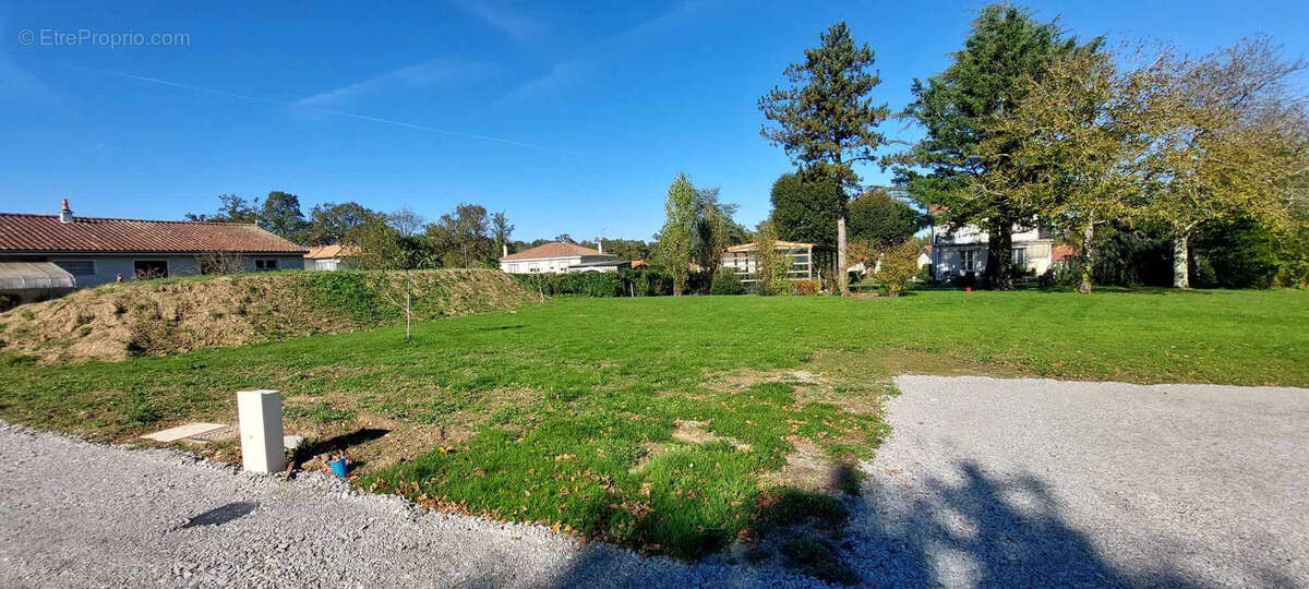 Terrain à CONFOLENS