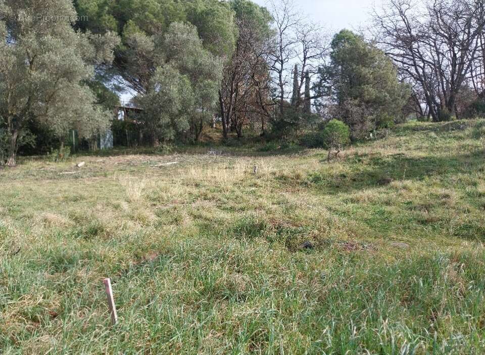 Terrain à ROQUEBRUNE-SUR-ARGENS