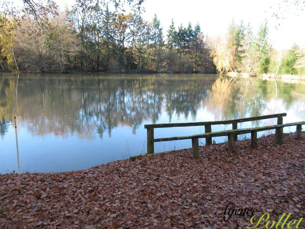 Terrain à VAILLY-SUR-SAULDRE