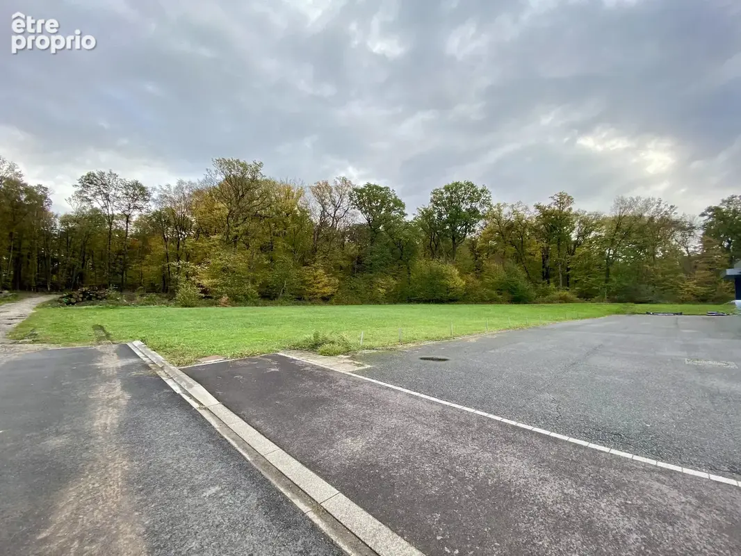 Local commercial de 650 m² sur 54 ares  RT2012  Prestations de qualité  Sarreguemines - photo 6