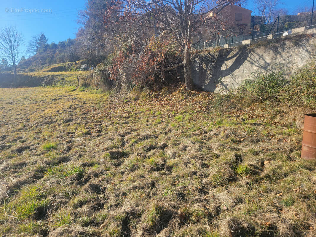 Terrain plat viabilisé, vue dégagèe , Vallée de l'Esteron. - photo 3
