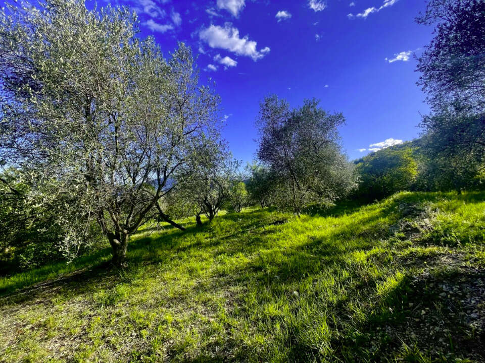 Terrain 763 m² à Bonson  - photo 5