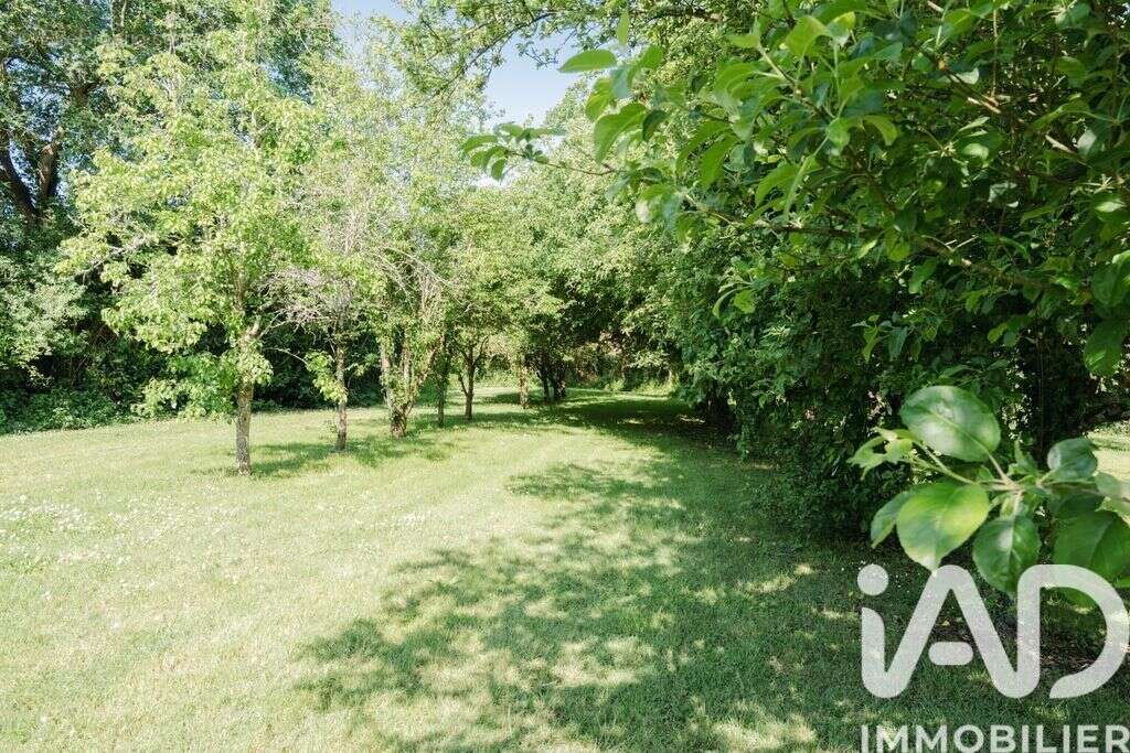 Maison 527 m² à Sceaux-D'anjou  - photo 5