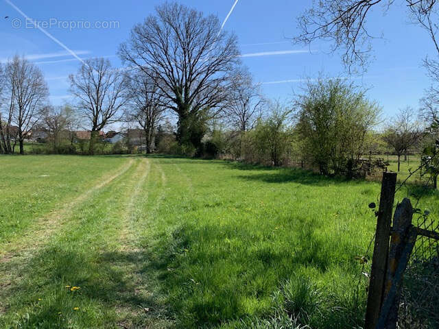 Terrain à XERMAMENIL