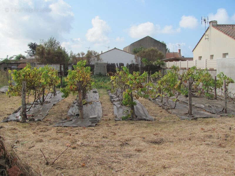 Maison à LA BARRE-DE-MONTS