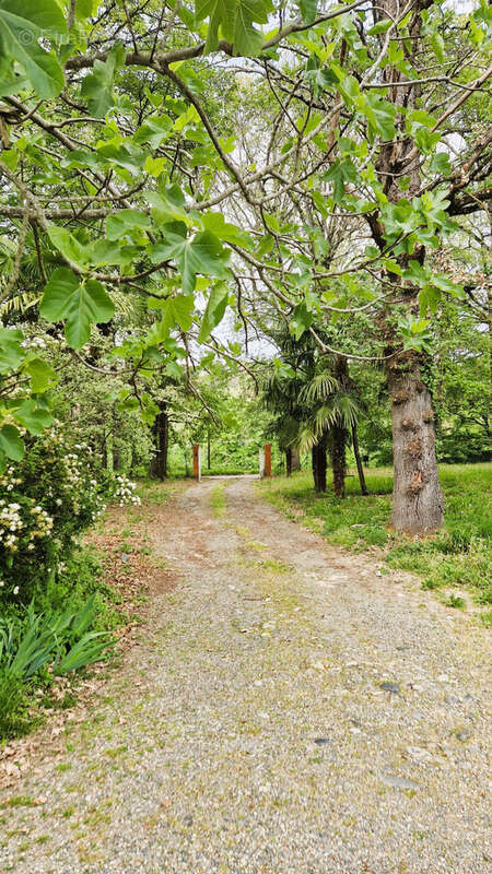 Maison à LACROIX-FALGARDE