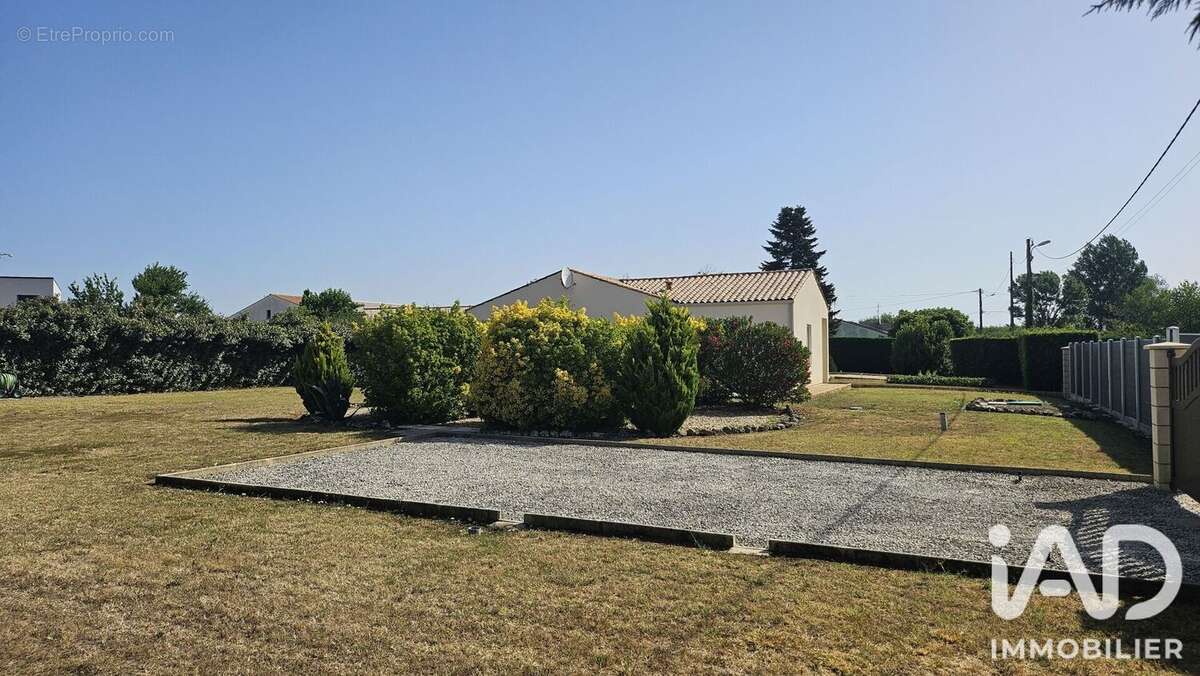 Photo 7