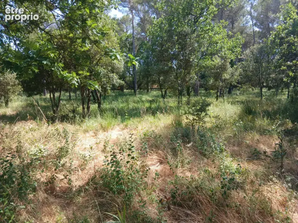 Terrain 705 m² à vendre à Gareoult (83136) - photo 2