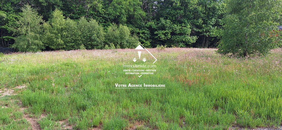 Terrain à COUZEIX