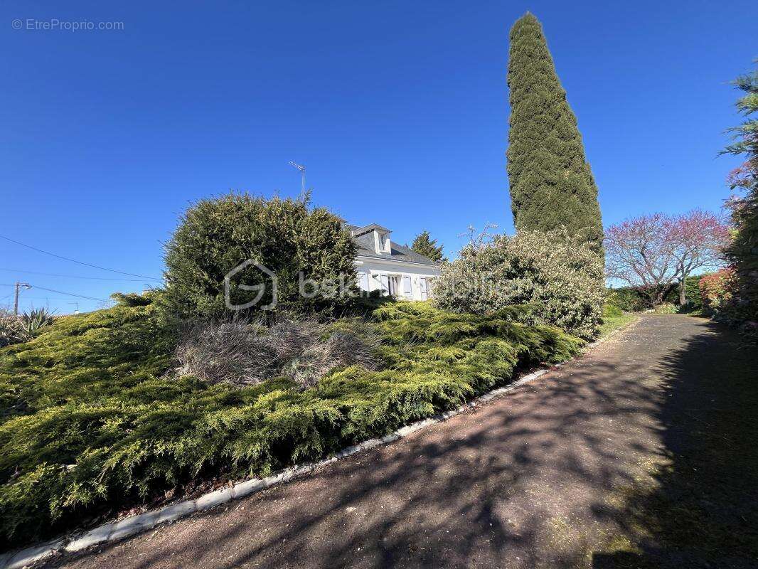  COUP DE CŒUR – Maison familiale avec grand terrain et beaux volumes - photo 4