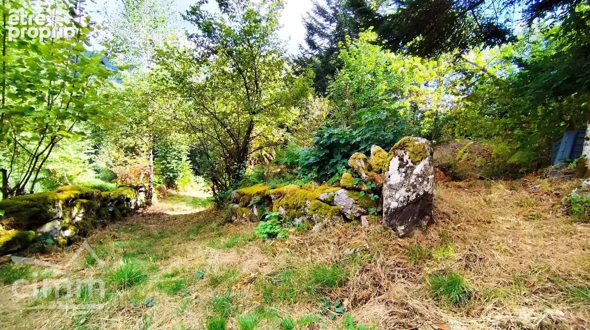 Maison au milieu des bois - photo 9