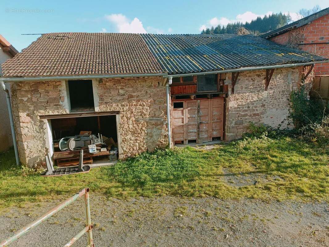 Photo 2 - Maison à BELMONT-DE-LA-LOIRE