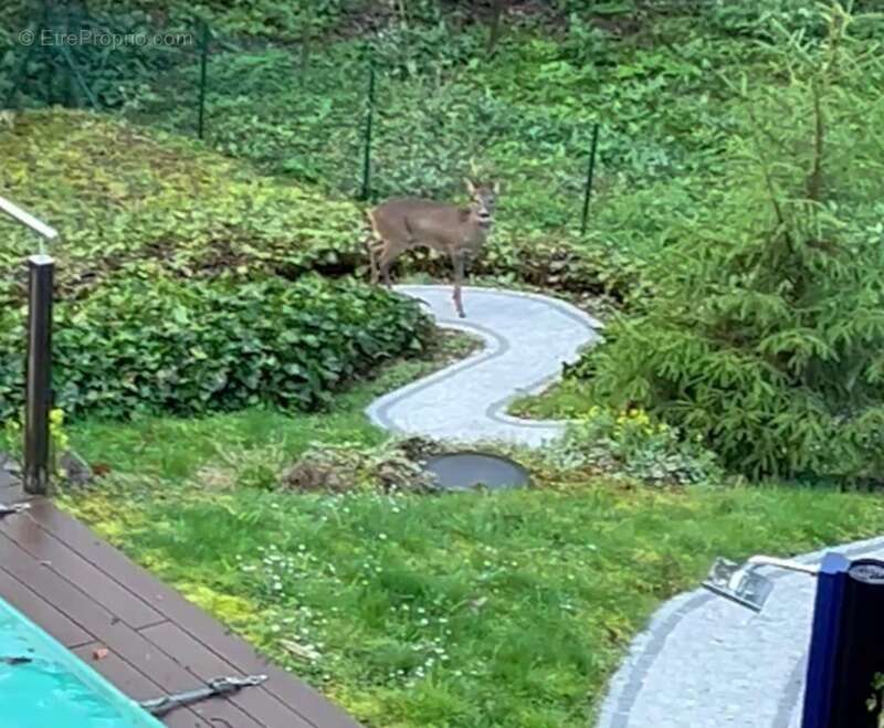 Maison à LA CHAPELLE-SAINT-MESMIN