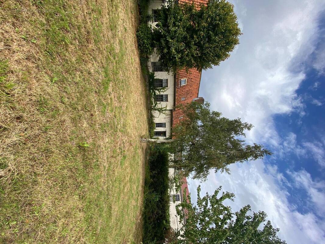 Photo 1 - Maison à THIENNES