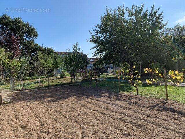 Terrain à MARANS