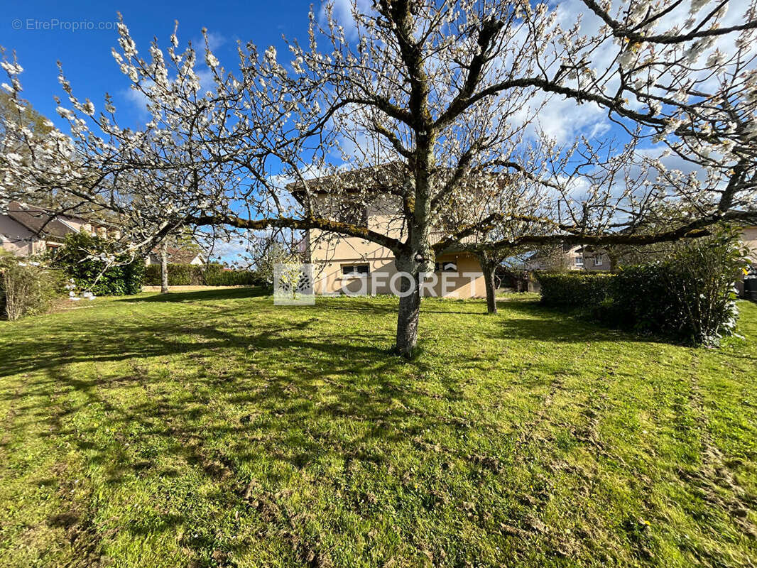 Maison sur sous-sol à Louhans 85 m2 - photo 5