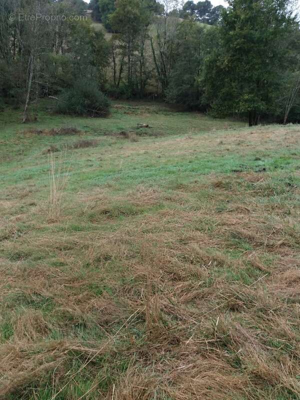 ORTHEZ – Terrains naturels et agricoles de 15 070 m² NON CONSTRUCTIBLES - photo 2
