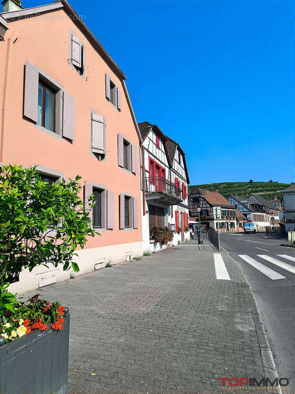 Commerce à RIBEAUVILLE