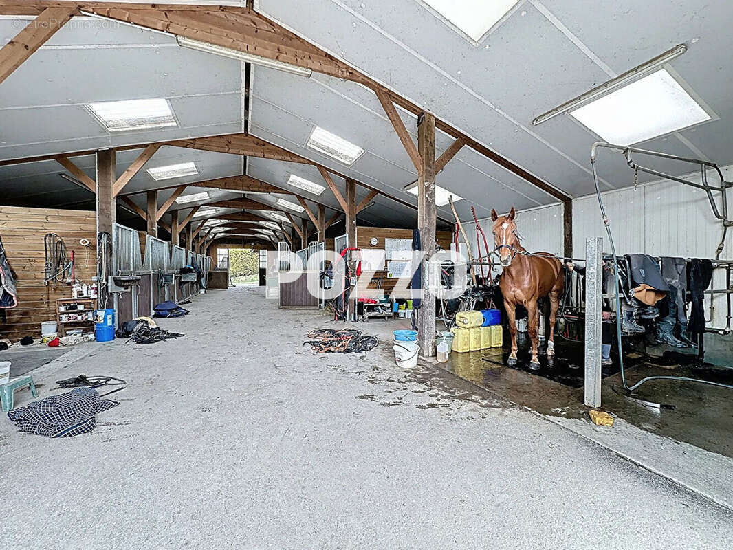 Maison + haras sur 11 ha avec piste, barn, 22 boxes, rond de longe, paddocks et herbage, vue Mt St Michel - photo 18