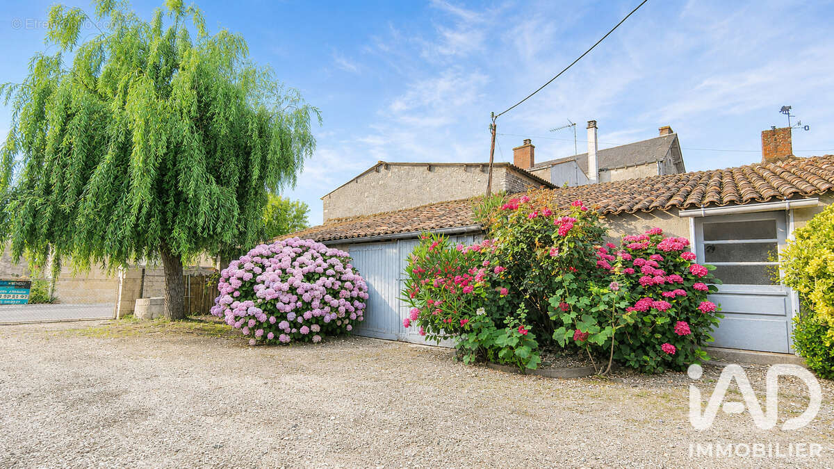 Photo 5 - Maison à FONTENAY-LE-COMTE