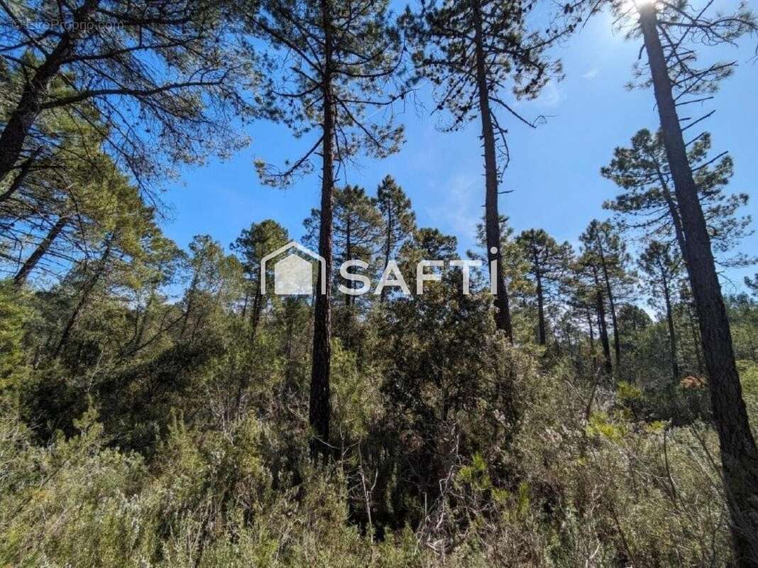 Photo 4 - Terrain à SILLANS-LA-CASCADE