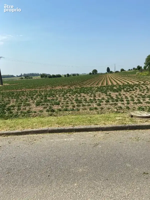 Terrain 520 m² à Ecurie  - photo 2