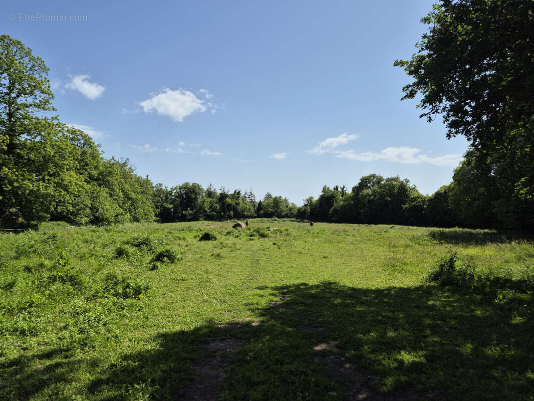 Maison à LA FORET-FOUESNANT