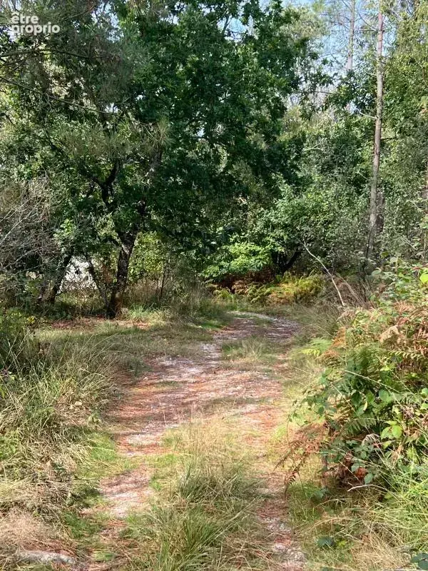 À vendre – argol – finistère – presqu’île de crozon-exceptionnel terrain de loisirs de 40 000 m² - photo 53