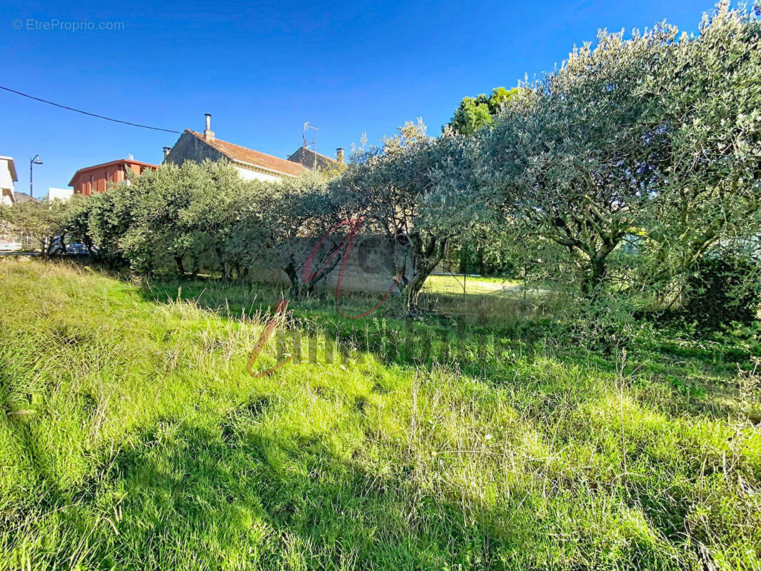 Terrain à CHEVAL-BLANC