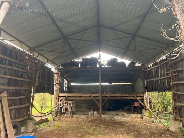 Charmante ferme en pierre avec dépendances et plus de 6 hectares de terrain - idéale pour les passionnés d'équitation - photo 3