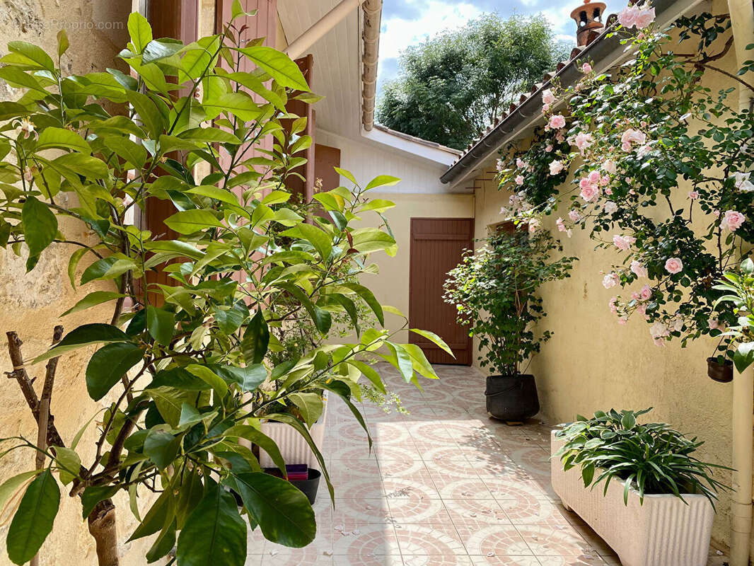 Bâtisse à la façade généreuse - photo 16