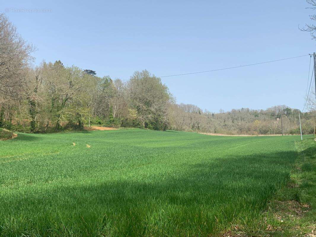 Terrain à SAINT-GEORGES-DE-MONTCLARD