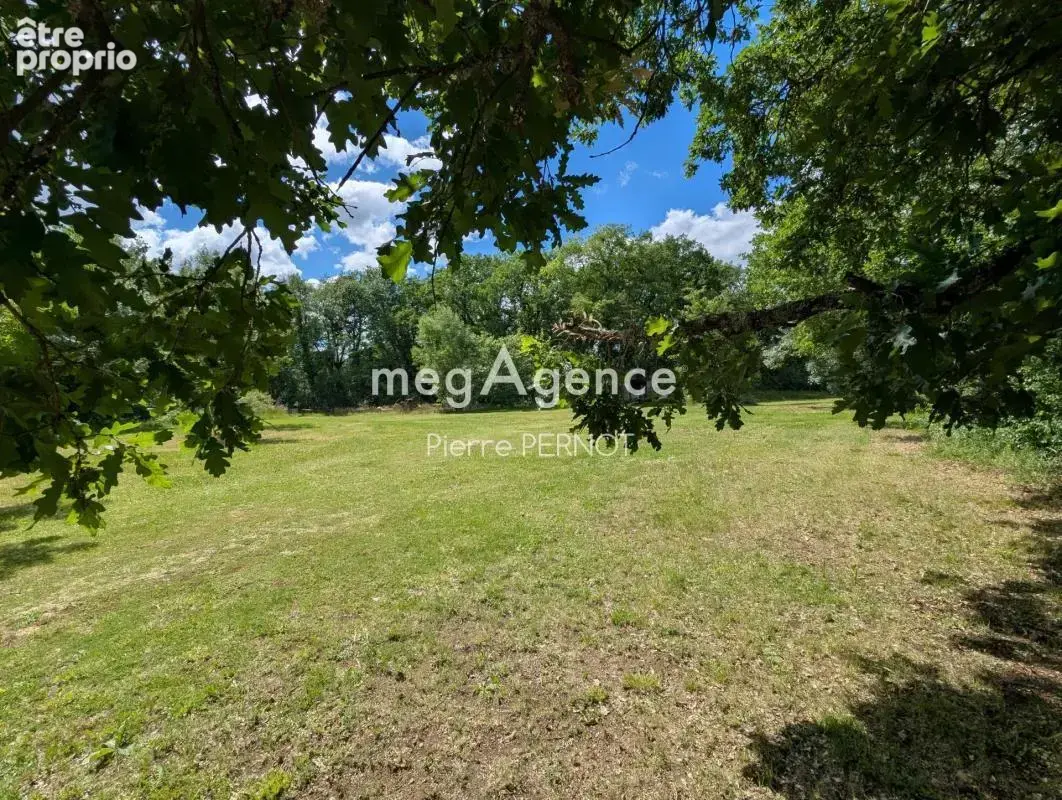 Maison en Pierre sur Parc de 2,6 hectares - photo 16