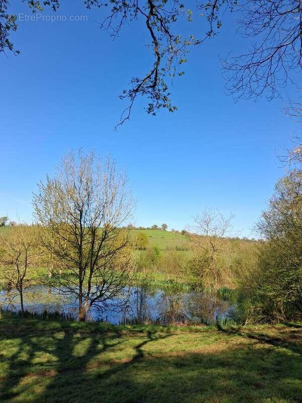 Maison à LE PUISET-DORE