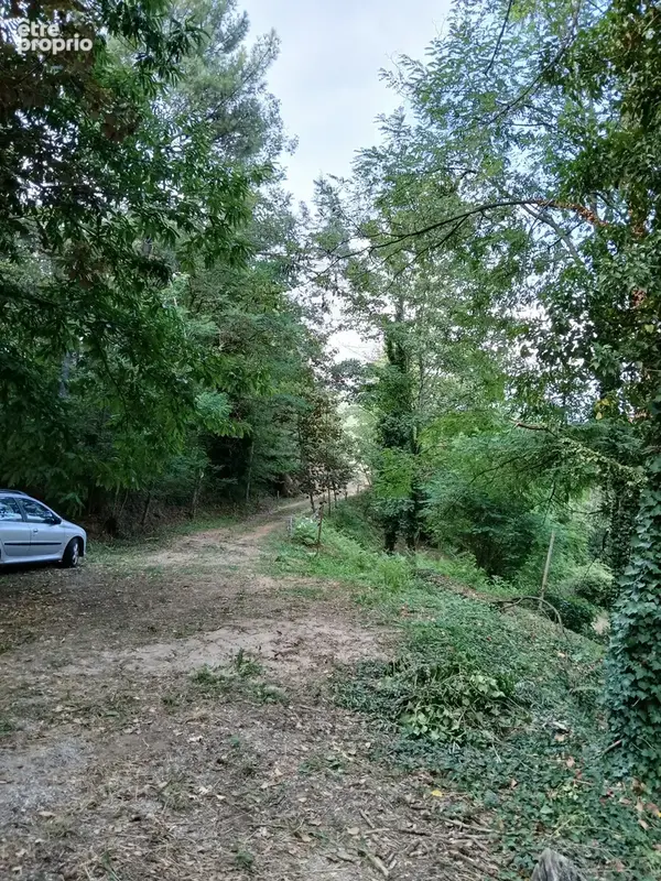MAS 360 de volume + 25 hectares. - photo 12