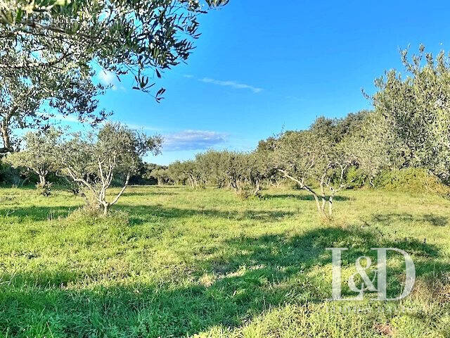 Terrain à UZES