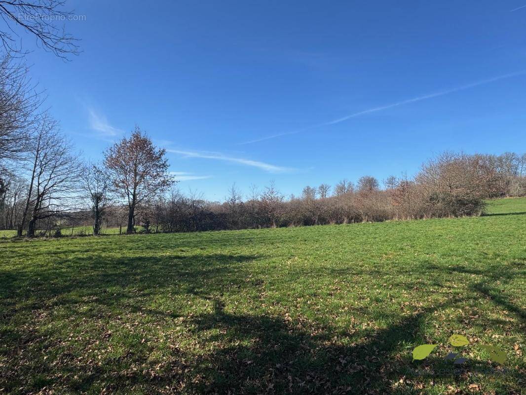 Terrain à RILHAC-TREIGNAC