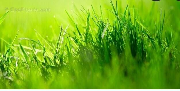 Terrain à SAINT-URBAIN