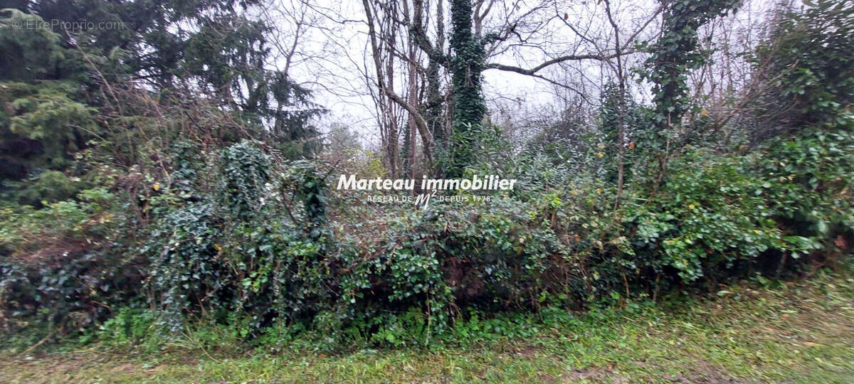 Maison à LE PLESSIS-DORIN