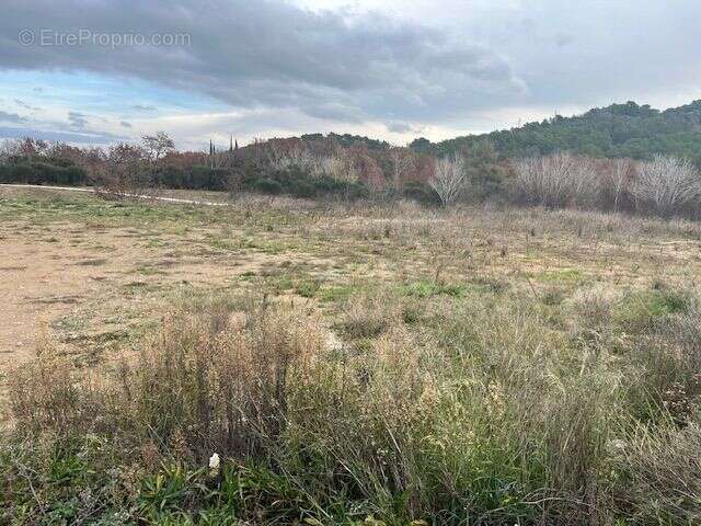 Terrain à LE PUY-SAINTE-REPARADE